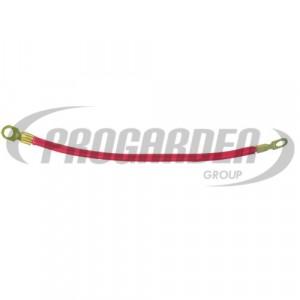 Cable rouge avec cosses (30  cm)